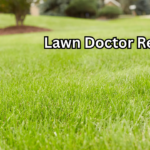 Lawn Doctor Reviews An Honest, Powerful, and Mostly Positive Look at the Service