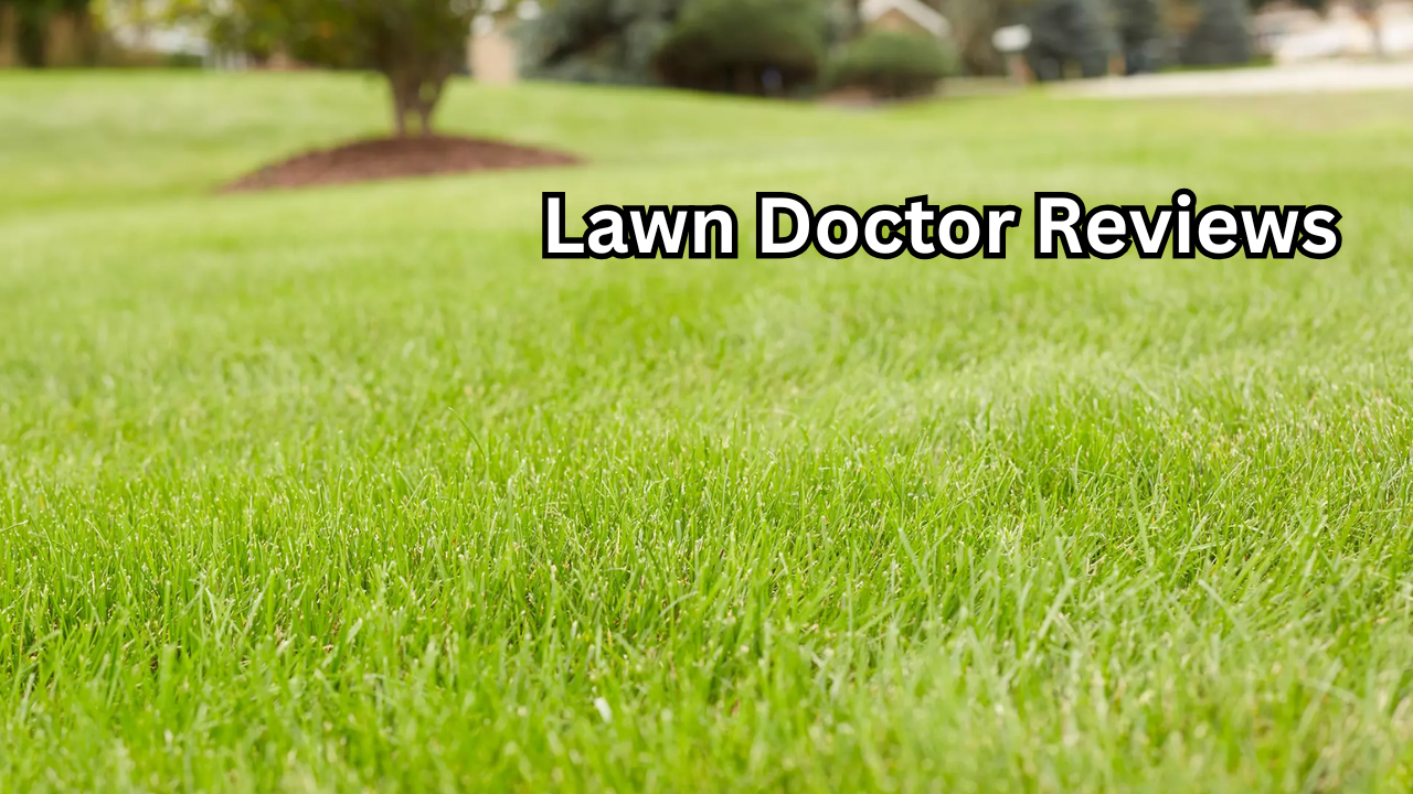 Lawn Doctor Reviews An Honest, Powerful, and Mostly Positive Look at the Service