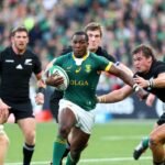 South Africa vs New Zealand